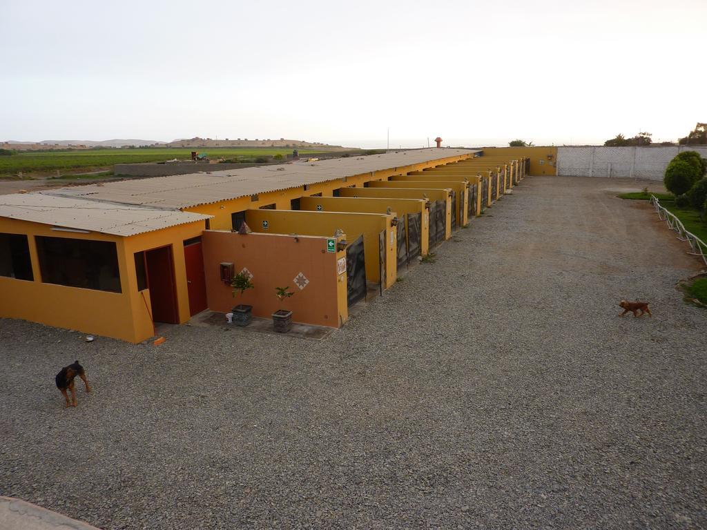 Motel Sahara Suites Barranca Exterior foto